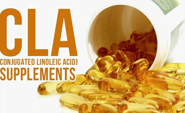 What are the benefits of conjugated linoleic acid (CLA)?